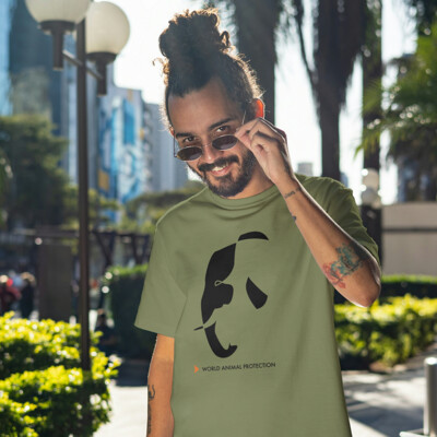 All Animals Thumbnail