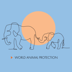 Kids t-shirt: Elephants: Wild Animals Belong in the Wild Design
