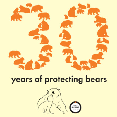 Tote bag: 30 years of protecting bears Design