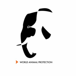 Women's t-shirt: Elephants belong in the wild Design