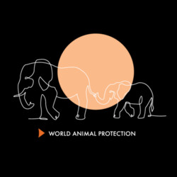 Women's organic t-shirt: Elephants belong in the wild Design