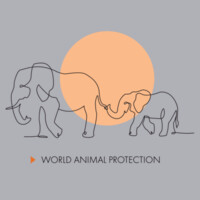 Men's organic t-shirt: Elephants belong in the wild Design