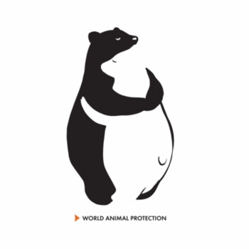 Panda bears - Kids Long Sleeve Tee Design