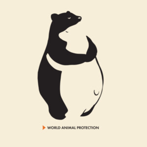 Organic infant mini-me one-piece: Panda bears Design