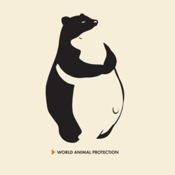 Panda bears - Infant Mini-Me One-Piece Design