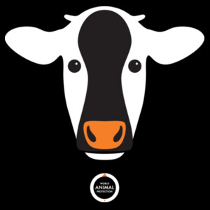 Cow: Infant Wee Tee Design