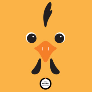Chicken: Kids t-shirt Design