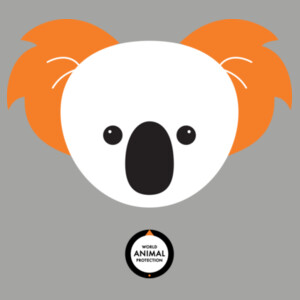 Koala: Kids t-shirt Design