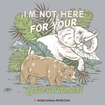 Men's Organic Tee: I’m Not Here For Your Entertainment Design