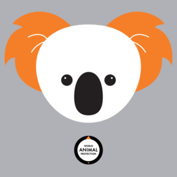 Men's Organic Tee: Koala Design
