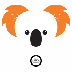 Women's Organic Tee: Koala Design