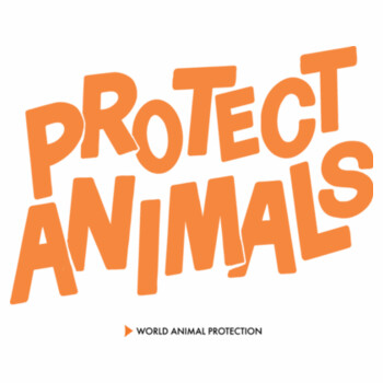 Men's Organic Tee: Protect Animals Logo Design