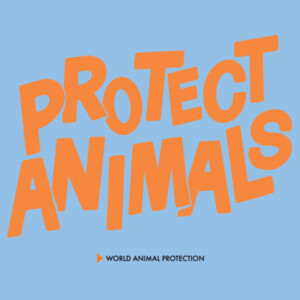 World Animal Protection: Kid's T-shirt Design
