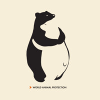 Women's Organic Tee: Bears Design