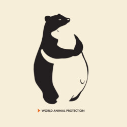 Women's Organic Tee: Bears Design