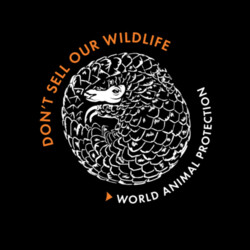 Women's Organic Tee: Pangolin Design