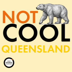 Women's Crop Tee: Not Cool Queensland - Polar Bear Design