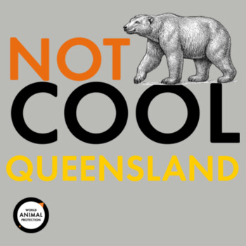 Tote Bag: Not Cool Queensland - Polar Bear Design