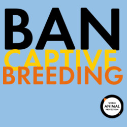 Women's Tee: Ban Captive Breeding Design