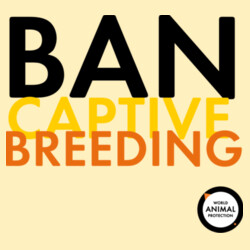 Women's Crop Tee: Ban Captive Breeding Design