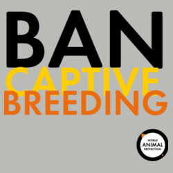 Women's Hoodie: Ban Captive Breeding Design