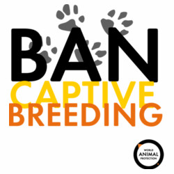 Women's Tee: Ban Captive Breeding - Paws Design