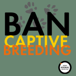 Women's Crop Tee: Ban Captive Breeding - Paws Design