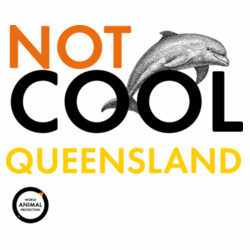 Women's Crop Tee: Not Cool Queensland - Dolphin Design
