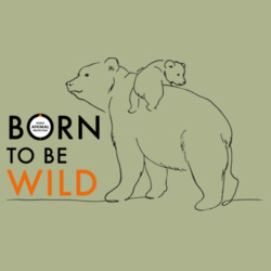 Women's Hoodie: Bears - Born to be Wild Design