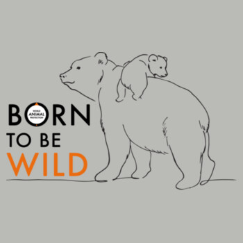Tote Bag: Bears - Born to be Wild Design