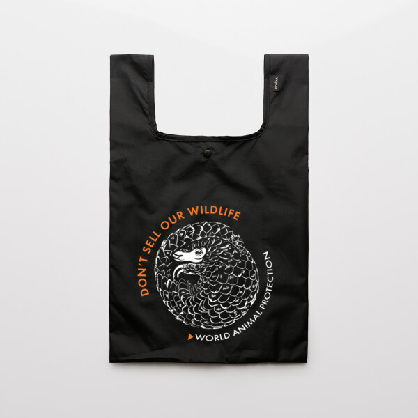 Recycled grocery bag Thumbnail