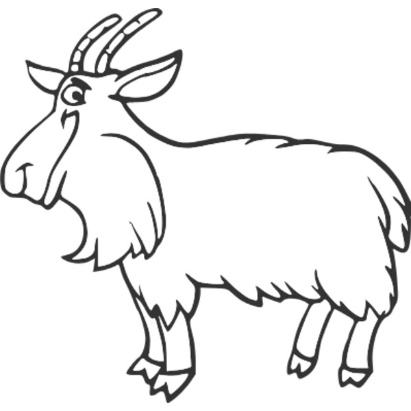 old aged goat Thumbnail