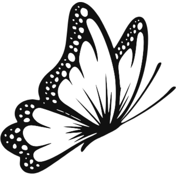 butterfly fly in flower Thumbnail