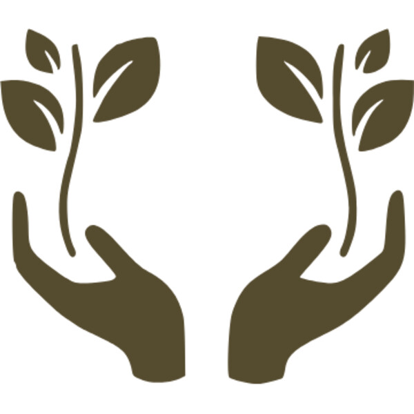 hand holding plant Thumbnail