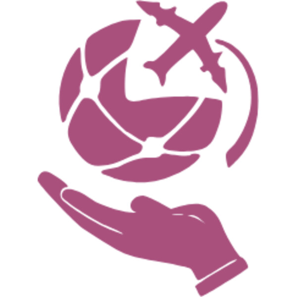 hand holding web plane vector Thumbnail